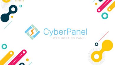 CyberPanel FTP Kayıtları / Günlükleri İnceleme