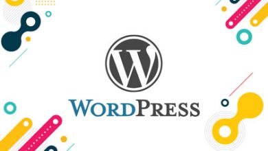 WordPress Yazı Kopyalamayı Engelleme